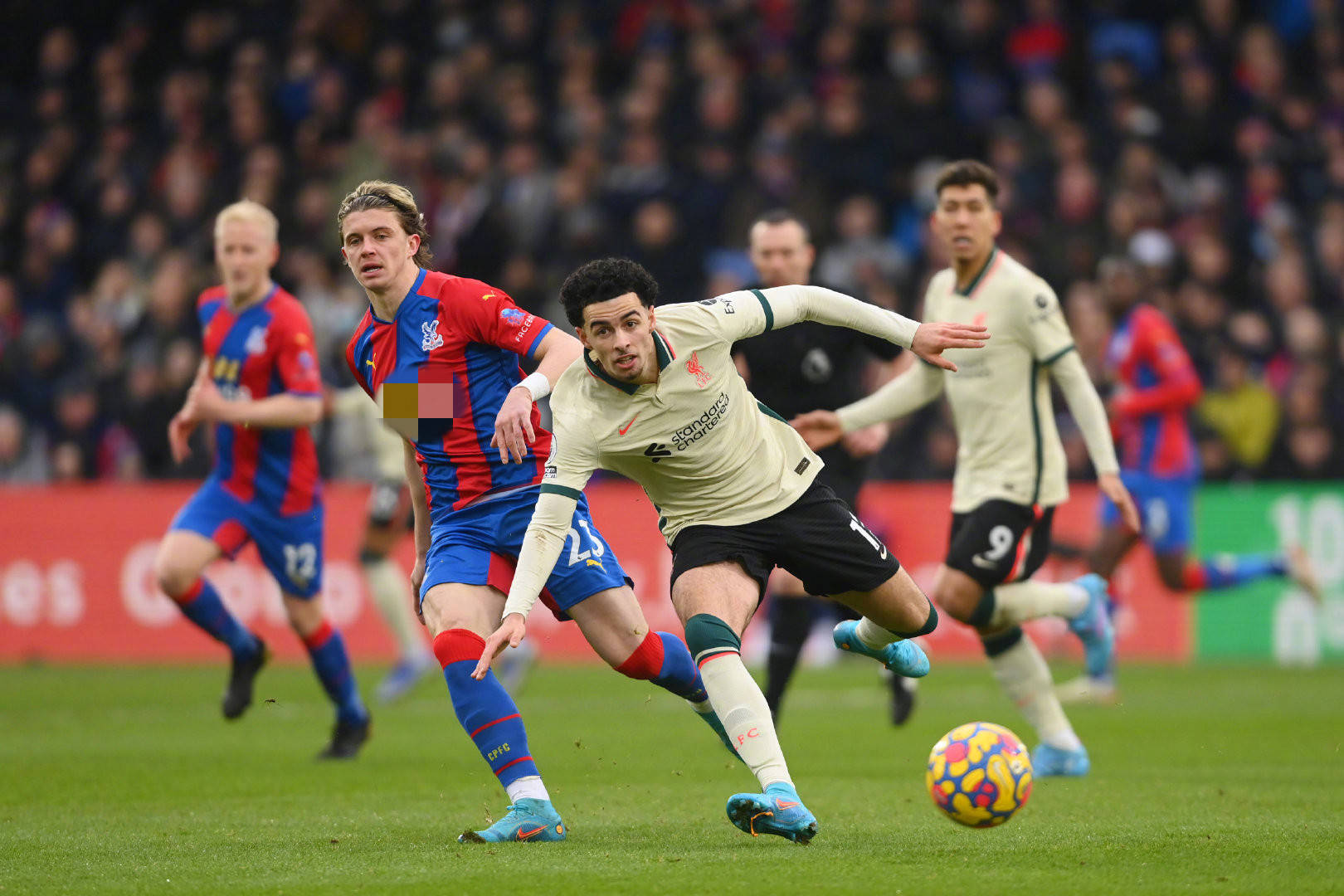 球队阵容构 球队阵容构